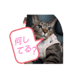 Maro(ФωФ)（個別スタンプ：26）