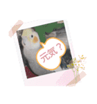 Maro(ФωФ)（個別スタンプ：27）
