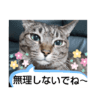 Maro(ФωФ)（個別スタンプ：28）