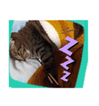 Maro(ФωФ)（個別スタンプ：31）