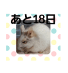 ハムスターとデグーのカウントダウン（個別スタンプ：14）