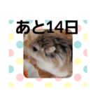 ハムスターとデグーのカウントダウン（個別スタンプ：18）