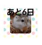 ハムスターとデグーのカウントダウン（個別スタンプ：26）