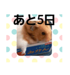 ハムスターとデグーのカウントダウン（個別スタンプ：27）