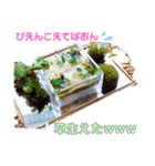 L'atelier à ma façon②（個別スタンプ：24）