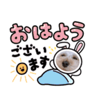 あんずちゃん 2（個別スタンプ：9）