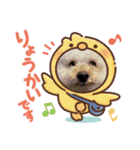 あんずちゃん 2（個別スタンプ：13）