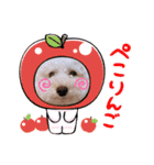 あんずちゃん 2（個別スタンプ：16）