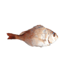 海の魚のごく1部（個別スタンプ：1）