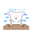 毎日使えるねこスタンプ(日常編)（個別スタンプ：25）