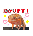 パンサーカメレオンのバルくん②（個別スタンプ：9）