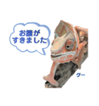 パンサーカメレオンのバルくん②（個別スタンプ：13）