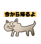 おでのねこ(生活編)（個別スタンプ：12）