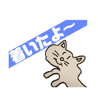 おでのねこ(生活編)（個別スタンプ：13）