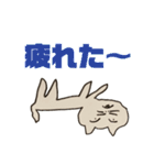 おでのねこ(生活編)（個別スタンプ：19）