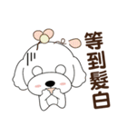 プードルの毎日がとてもかわいい（個別スタンプ：23）