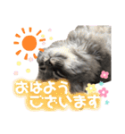 ふうたそすたんぷ（個別スタンプ：2）