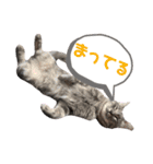 ふうたそすたんぷ（個別スタンプ：26）