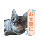 ふうたそすたんぷ（個別スタンプ：28）