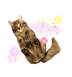 ふうたそすたんぷ（個別スタンプ：32）
