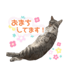 ふうたそすたんぷ（個別スタンプ：33）