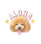 ALOHA MOANA♡（個別スタンプ：1）