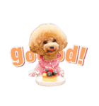 ALOHA MOANA♡（個別スタンプ：7）