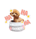 ALOHA MOANA♡（個別スタンプ：8）