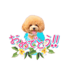 ALOHA MOANA♡（個別スタンプ：16）