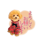 ALOHA MOANA♡（個別スタンプ：17）