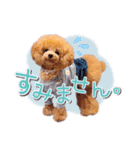 ALOHA MOANA♡（個別スタンプ：22）