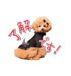 ALOHA MOANA♡（個別スタンプ：23）