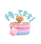 ALOHA MOANA♡（個別スタンプ：24）