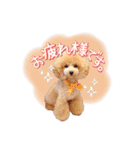 ALOHA MOANA♡（個別スタンプ：25）