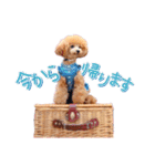 ALOHA MOANA♡（個別スタンプ：26）