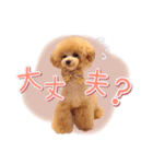 ALOHA MOANA♡（個別スタンプ：27）