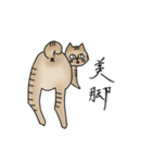 こえびという名のねこ（個別スタンプ：8）