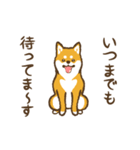 【アニメ】愛しのわんこ～柴犬～（個別スタンプ：17）