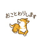 【アニメ】愛しのわんこ～柴犬～（個別スタンプ：21）