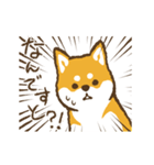 【アニメ】愛しのわんこ～柴犬～（個別スタンプ：23）