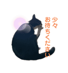 すーさんちの猫（個別スタンプ：14）