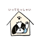 シーズー犬のショコラくん（個別スタンプ：15）