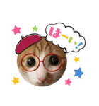 茶白猫むむ普段使い（個別スタンプ：1）