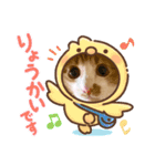 茶白猫むむ普段使い（個別スタンプ：3）