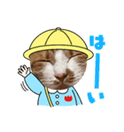 茶白猫むむ普段使い（個別スタンプ：14）