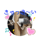 小春びより4（個別スタンプ：8）