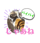 小春びより4（個別スタンプ：12）
