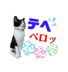 小春びより4（個別スタンプ：17）