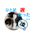 小春びより4（個別スタンプ：18）