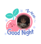 こばやんスタンプ2（個別スタンプ：8）